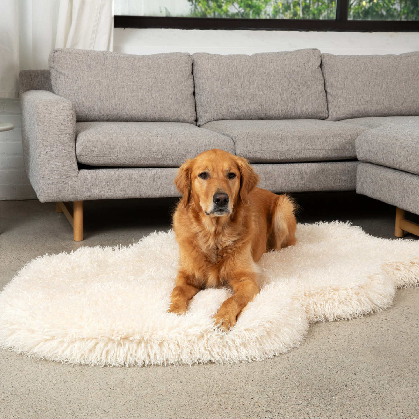 PupRug® Luxe Faux Fur Orthopedic Hundebett – Weiches Schafsvlies in Elfenbeinoptik