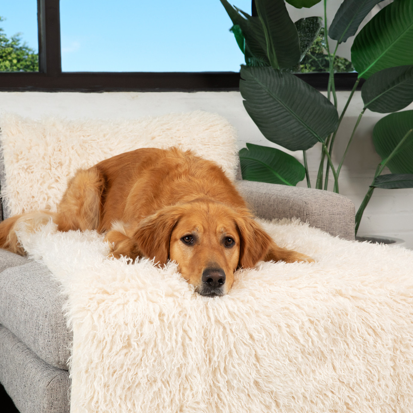 PupProtector™ Luxe Waterproof Bed Runner - Ultra-Soft Sheep Ivory Comfort