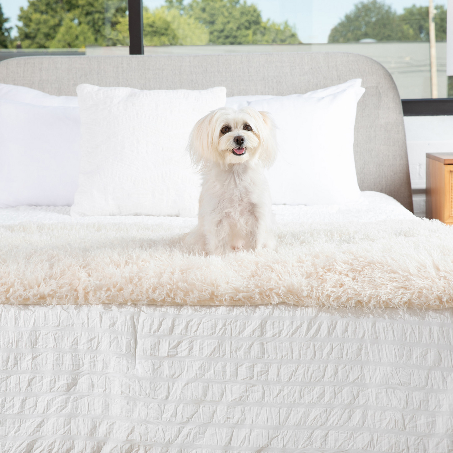 PupProtector™ Luxe Waterproof Bed Runner - Ultra-Soft Sheep Ivory Comfort
