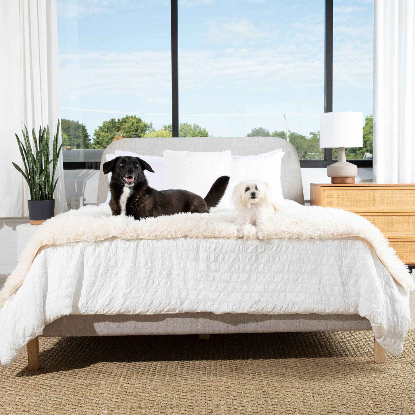 PupProtector™ Luxe Waterproof Bed Runner - Ultra-Soft Sheep Ivory Comfort