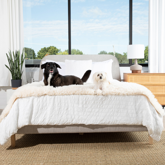 PupProtector™ Luxe Waterproof Bed Runner - Ultra-Soft Sheep Ivory Comfort