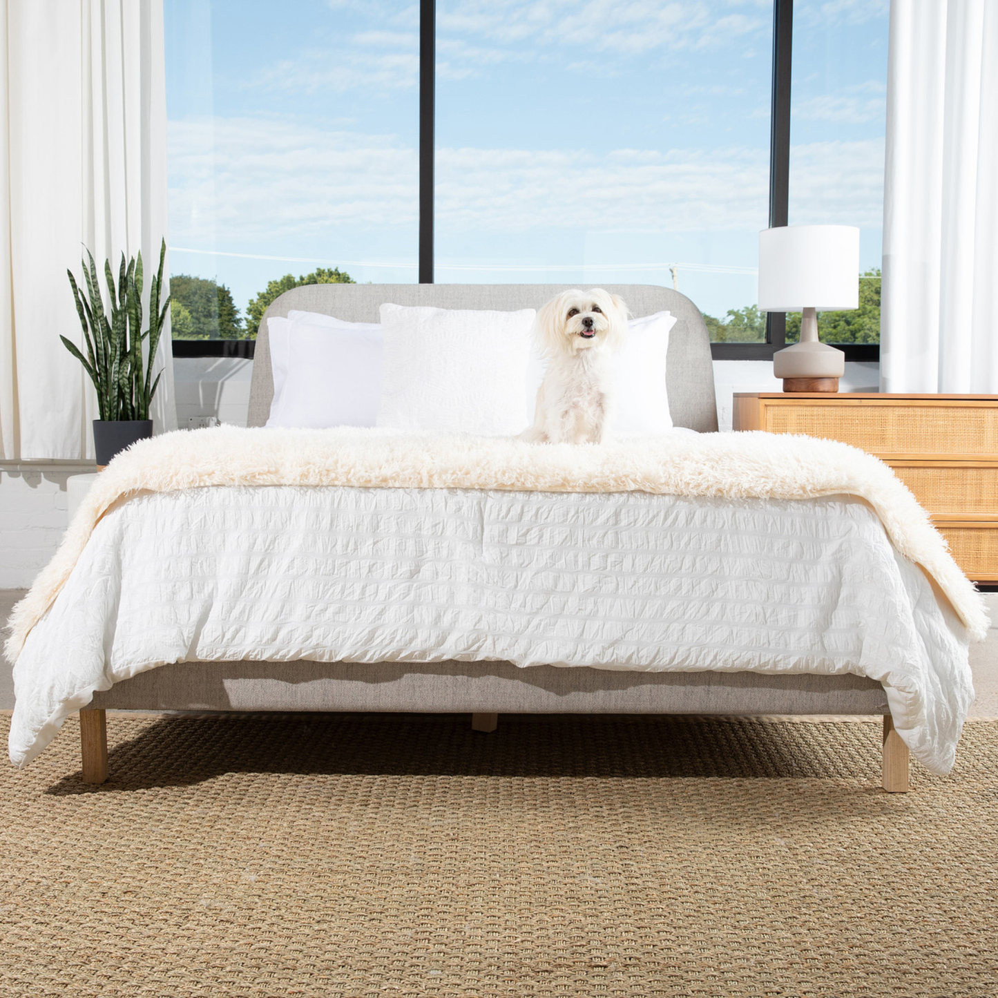 PupProtector™ Luxe Waterproof Bed Runner - Ultra-Soft Sheep Ivory Comfort