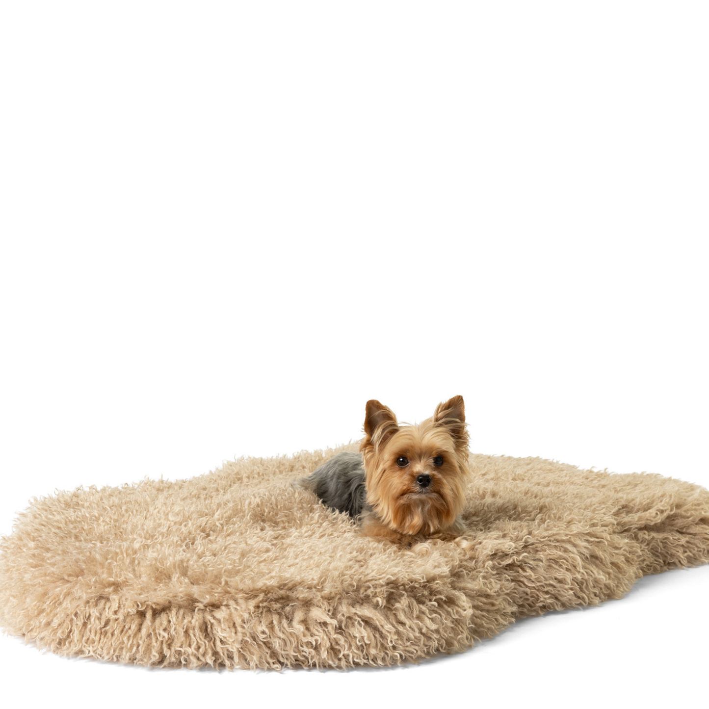 PupRug® Luxe Faux Fur Orthopädisches Hundebett – Weiche Schaffel-Fell-Optik in Tan