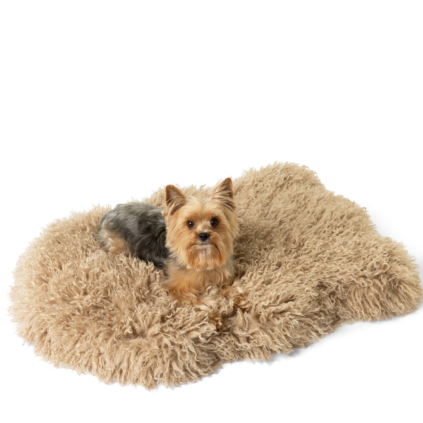 PupRug® Luxe Faux Fur Orthopädisches Hundebett – Weiche Schaffel-Fell-Optik in Tan